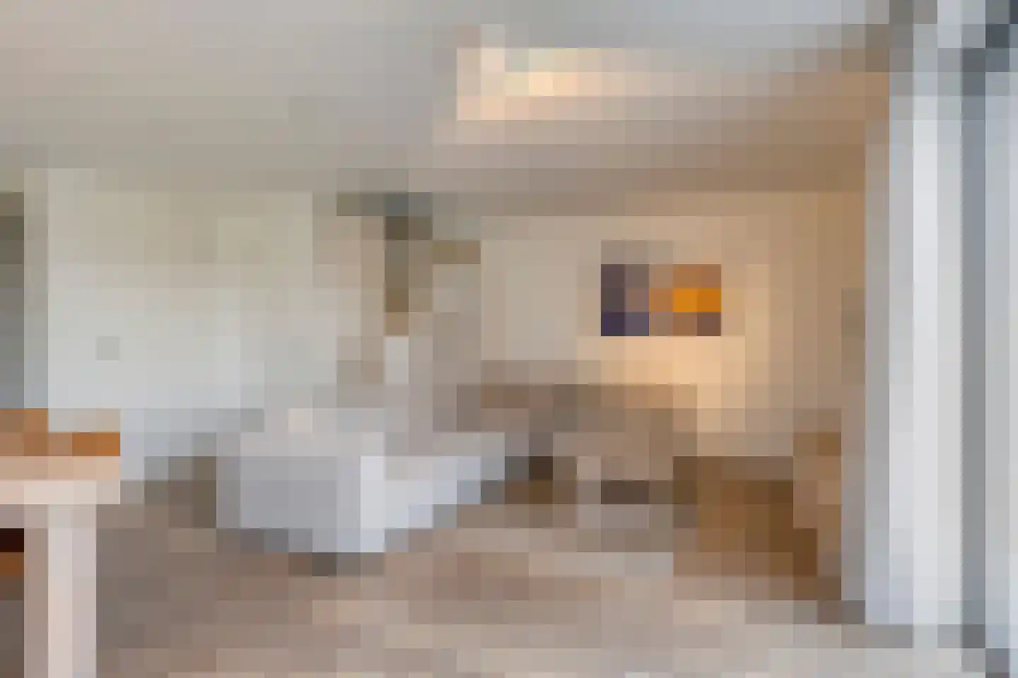 Veerweg 48 257 Wolphaartsdijk thumbnail 4