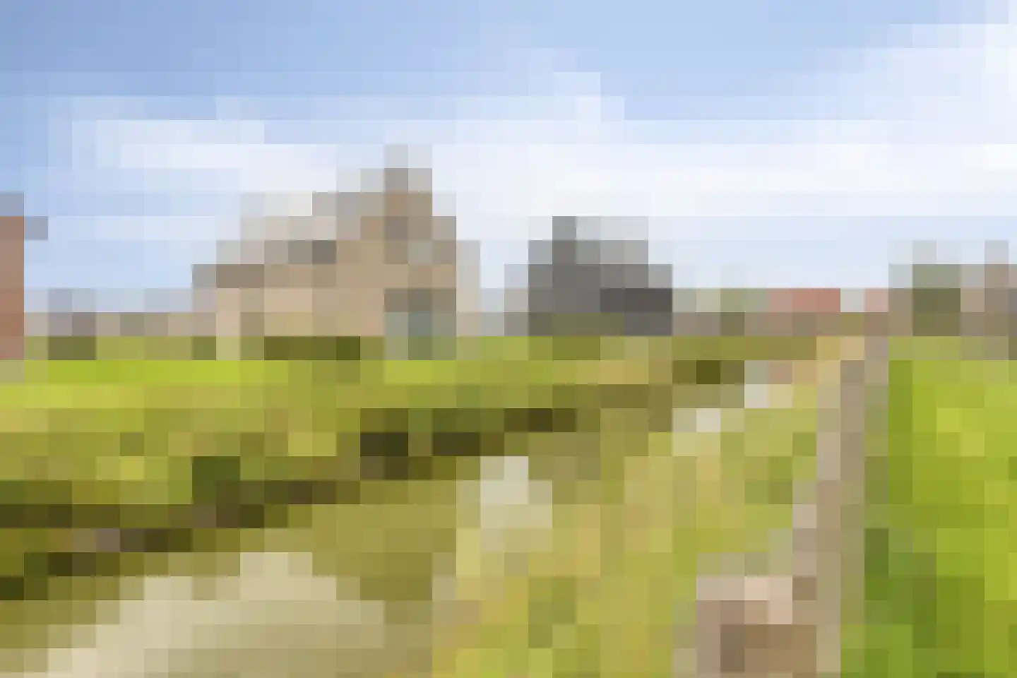Veerweg 50 008 Wolphaartsdijk thumbnail 12