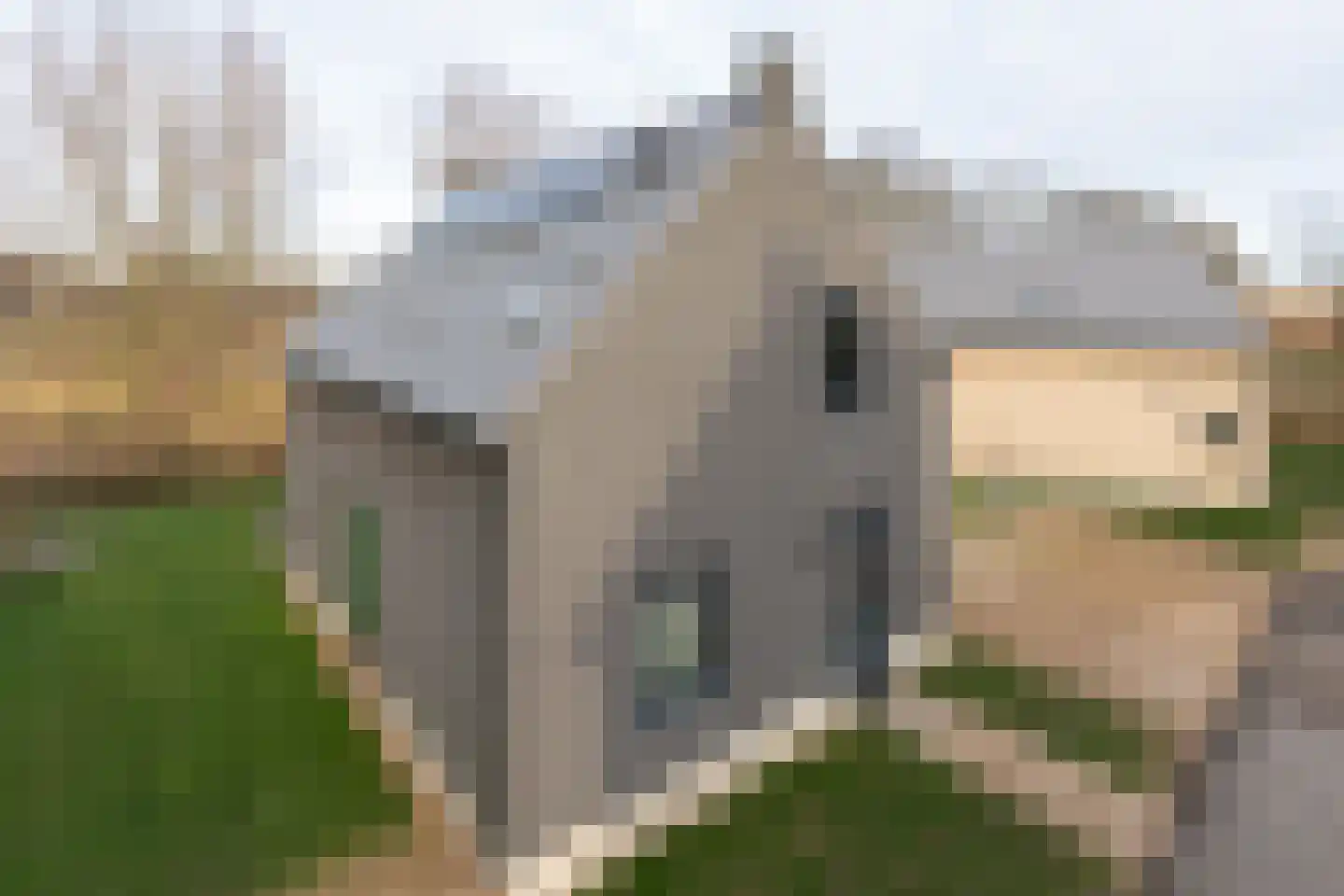 Veerweg 50 013 Wolphaartsdijk thumbnail 5