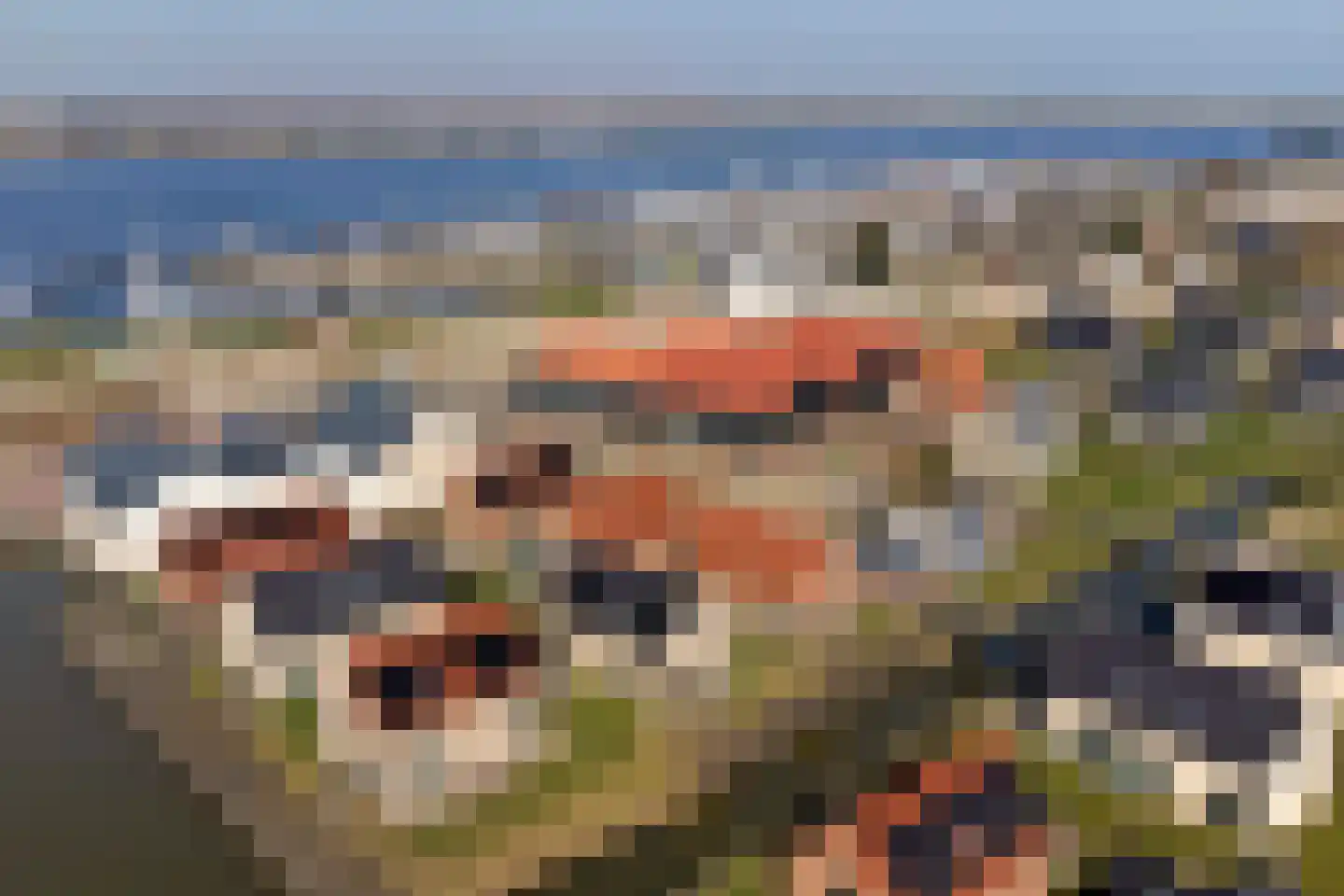Veerweg 50 042 Wolphaartsdijk thumbnail 36