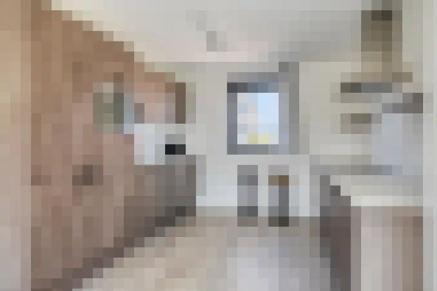 Veerweg 50 187 Wolphaartsdijk thumbnail 15