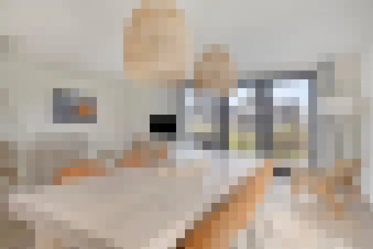 Veerweg 50 272 Wolphaartsdijk thumbnail 15