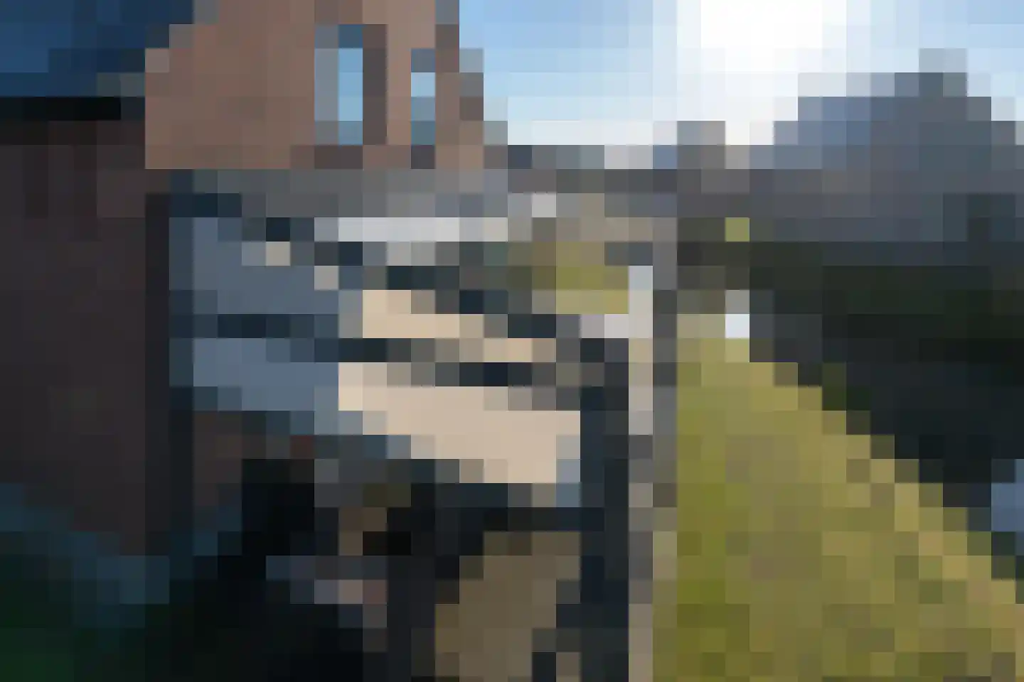 Veerweg 50 288 Wolphaartsdijk thumbnail 41