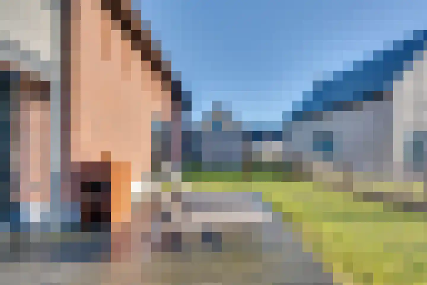 Veerweg 50 288 Wolphaartsdijk thumbnail 5