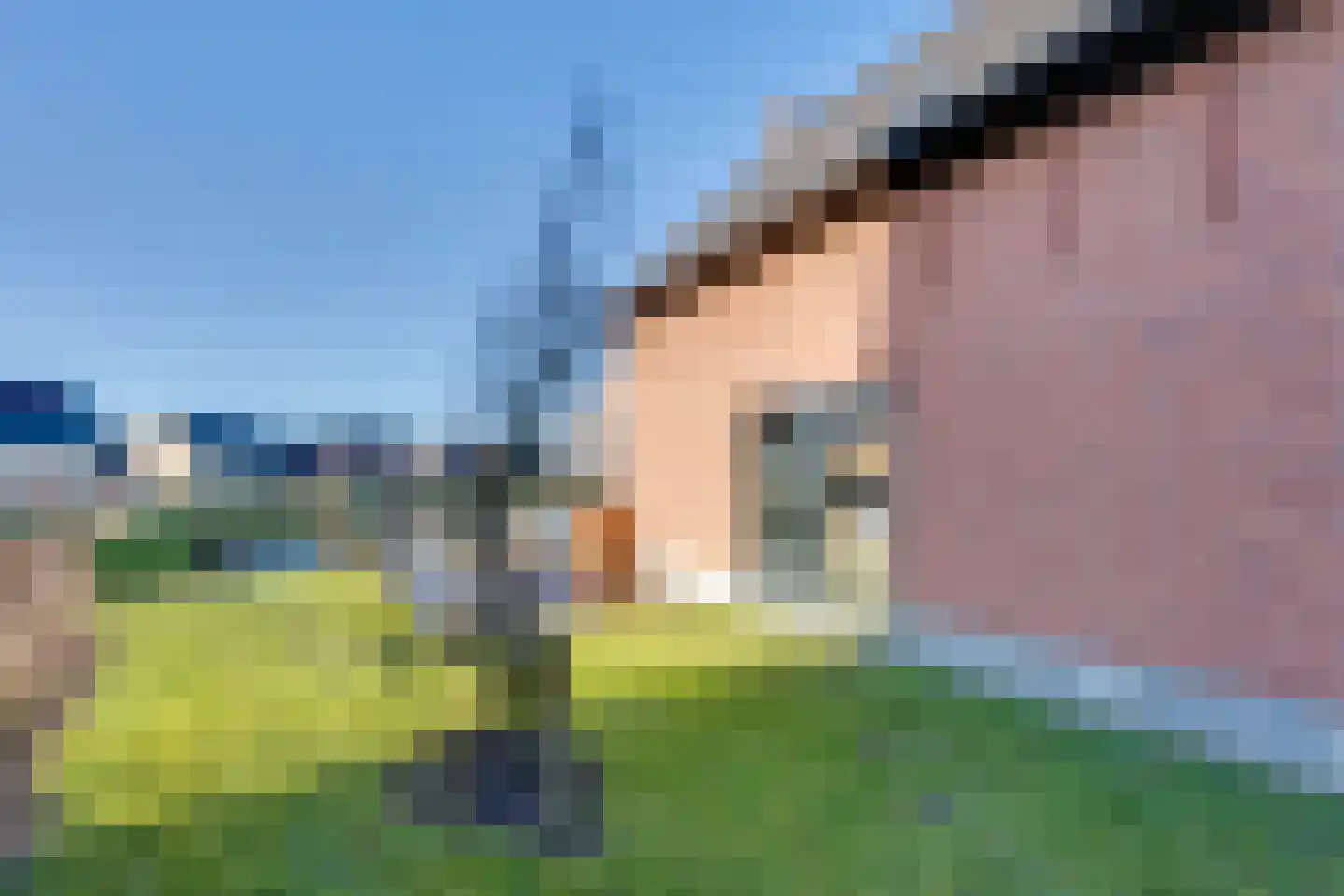 Veerweg 50 288 Wolphaartsdijk thumbnail 8