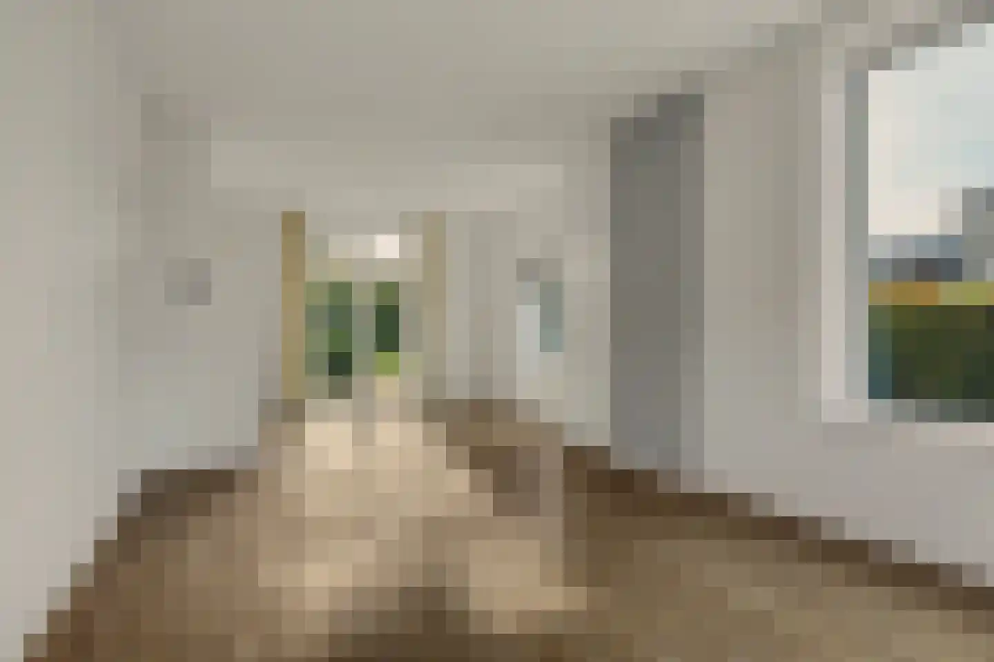 Veerweg 59 Kamperland thumbnail 10