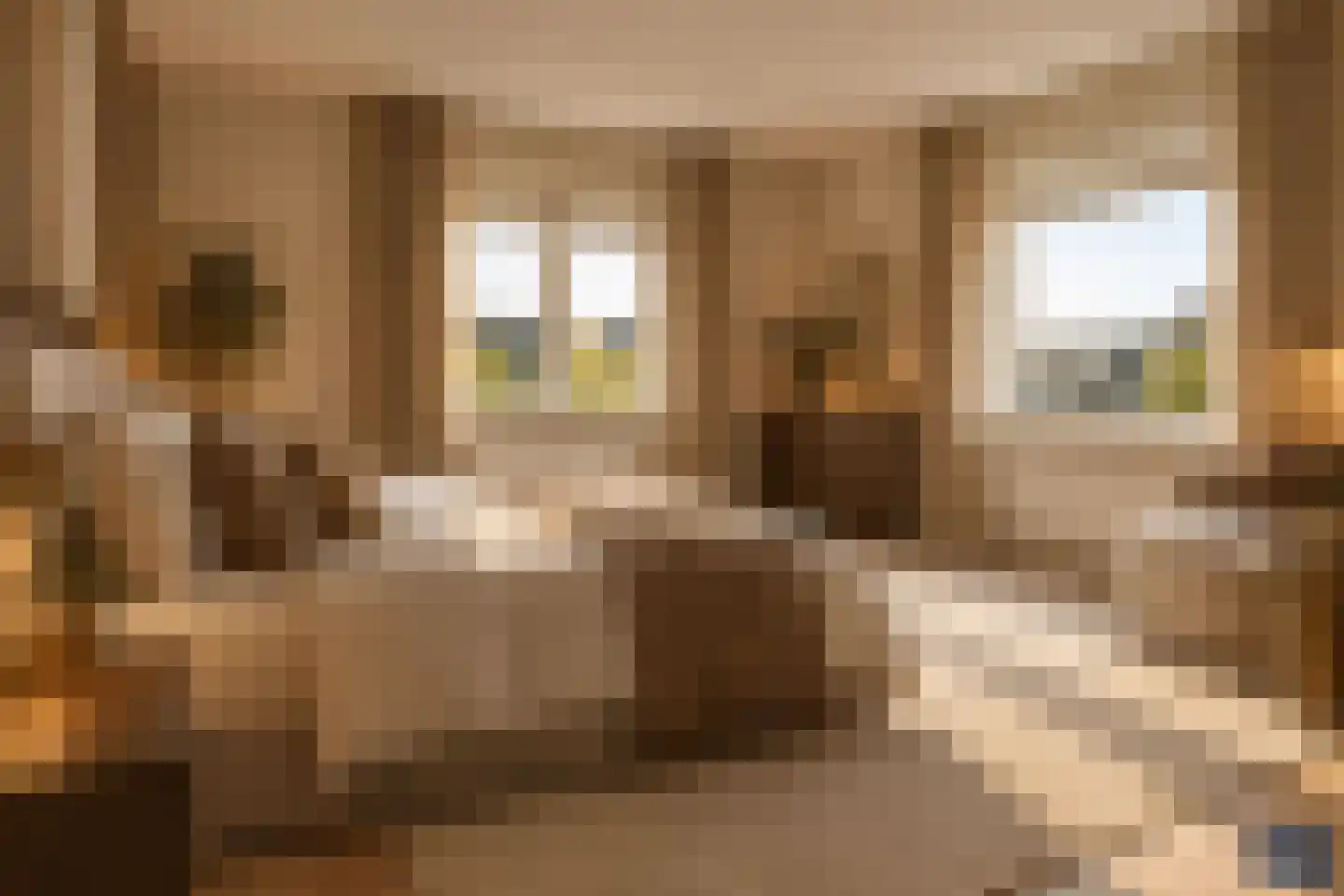 Veerweg 59 Kamperland thumbnail 18