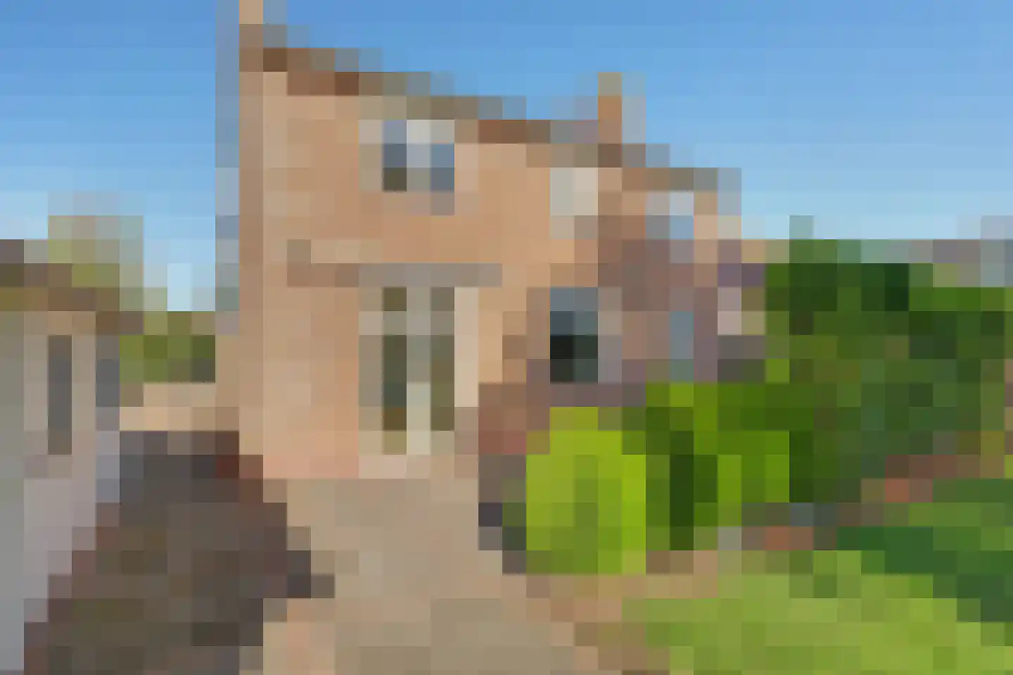 Veerweg 59 Kamperland thumbnail 32