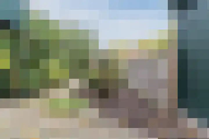 Veerweg 6 Culemborg thumbnail 26