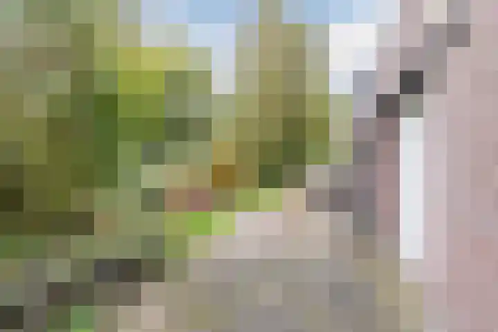 Veerweg 6 Culemborg thumbnail 4