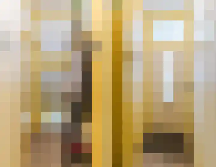 Veerweg 6 Culemborg thumbnail 6