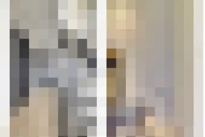 Veerweg 6 Kapelle thumbnail 15