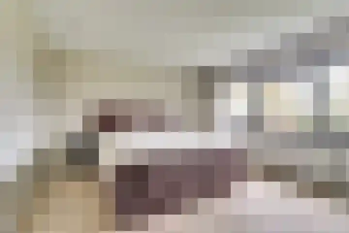 Veerweg 6 Kapelle thumbnail 16