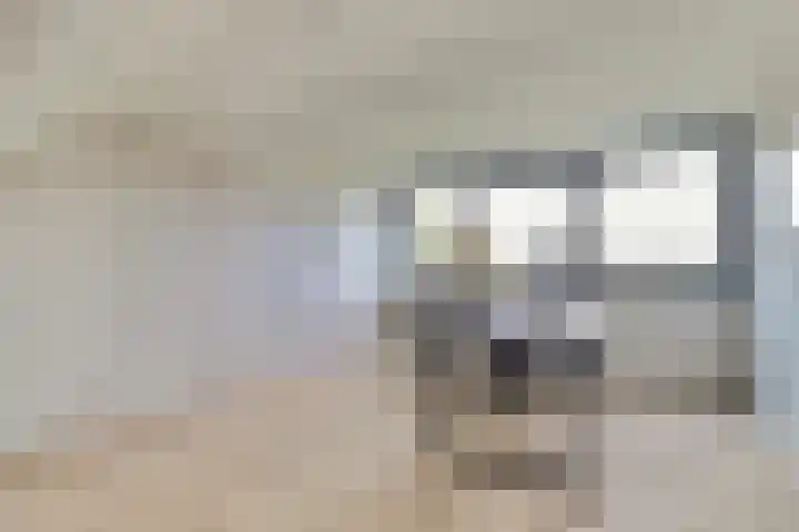 Veerweg 6 Kapelle thumbnail 29