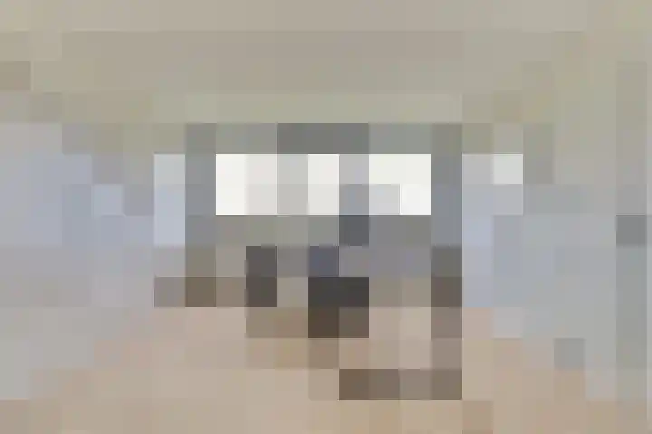 Veerweg 6 Kapelle thumbnail 31