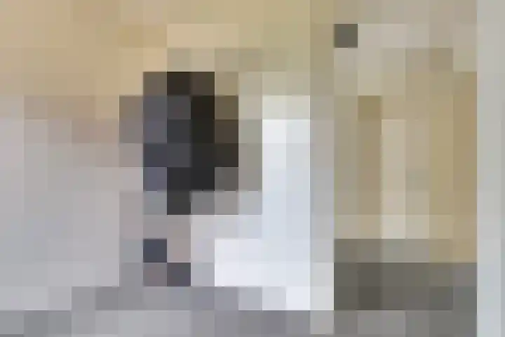 Veerweg 6 Kapelle thumbnail 35