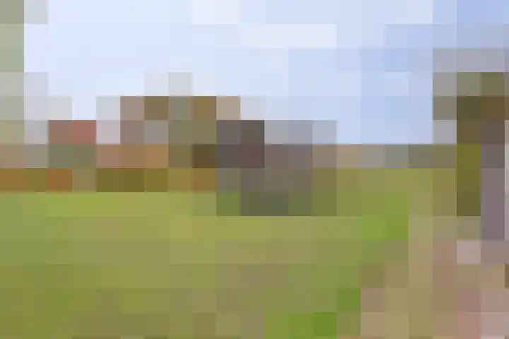 Veerweg 6 Kapelle thumbnail 40