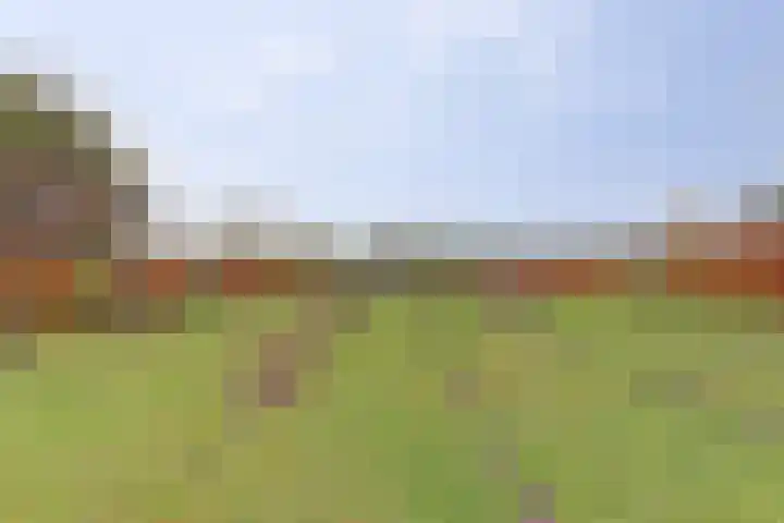 Veerweg 6 Kapelle thumbnail 42