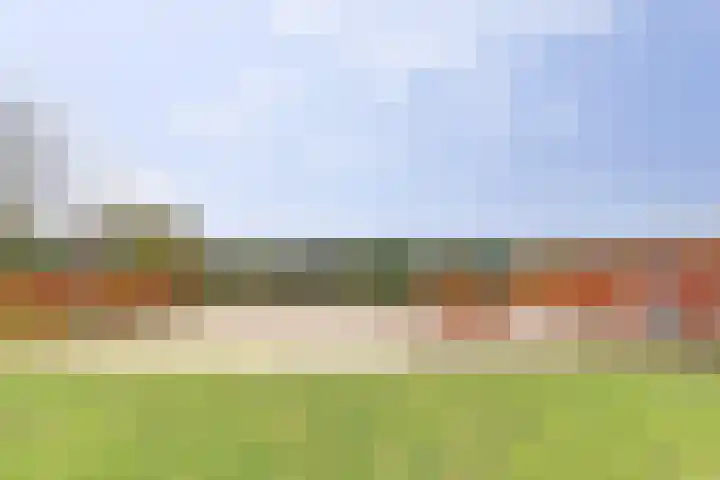 Veerweg 6 Kapelle thumbnail 43