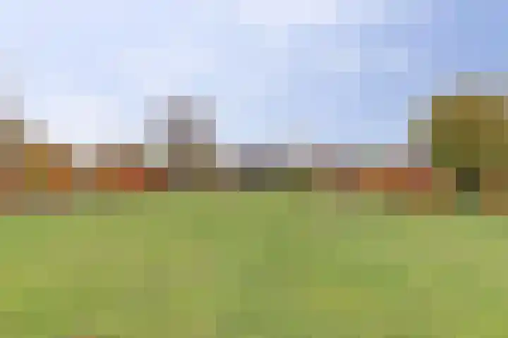 Veerweg 6 Kapelle thumbnail 44