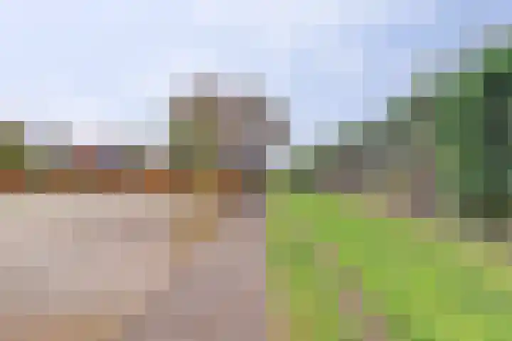 Veerweg 6 Kapelle thumbnail 45