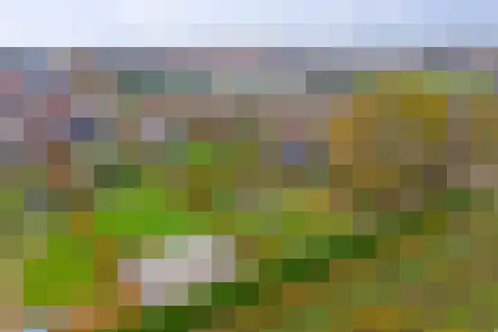 Veerweg 6 Kapelle thumbnail 52