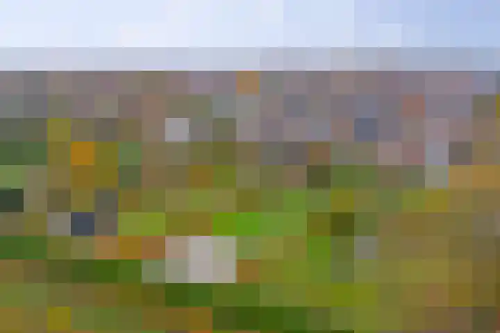 Veerweg 6 Kapelle thumbnail 53