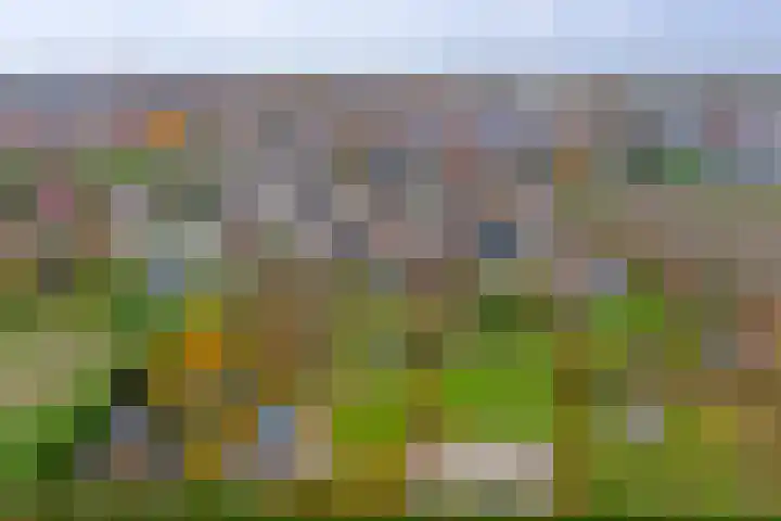 Veerweg 6 Kapelle thumbnail 54