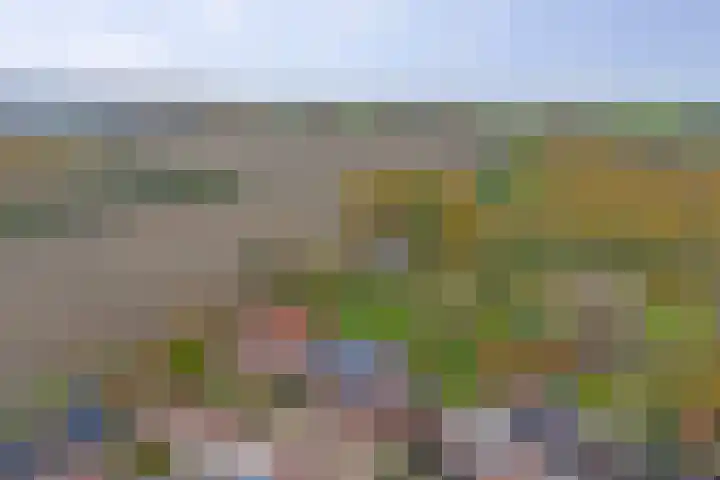 Veerweg 6 Kapelle thumbnail 56