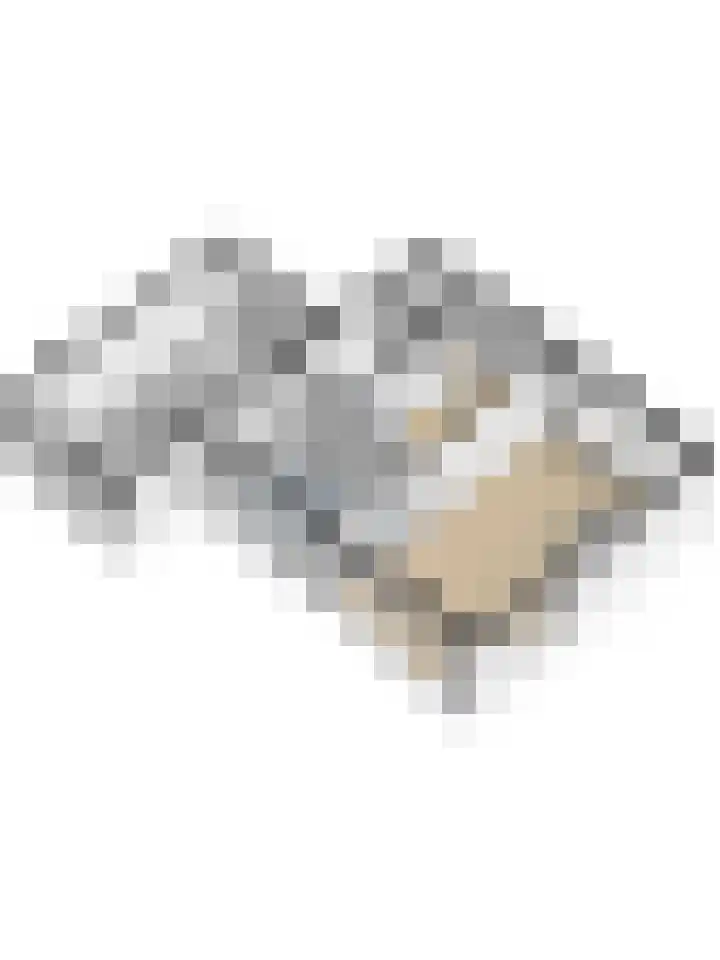 Veerweg 6 Kapelle thumbnail 62