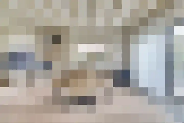 Veerweg 6 Kapelle thumbnail 9