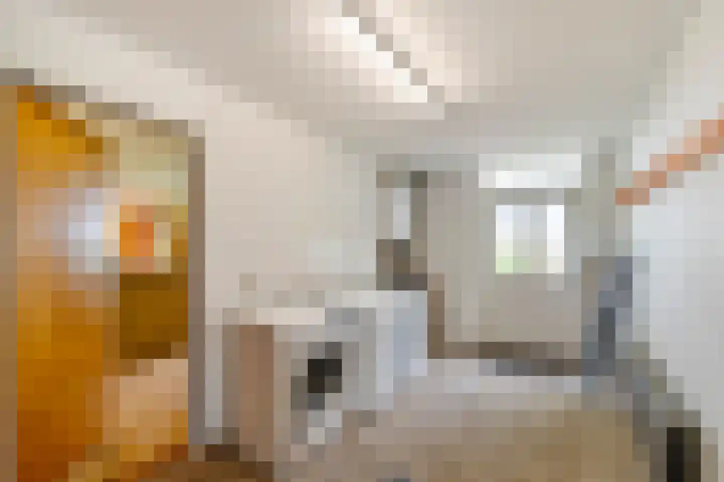 Veerweg 7 Anna Paulowna thumbnail 20