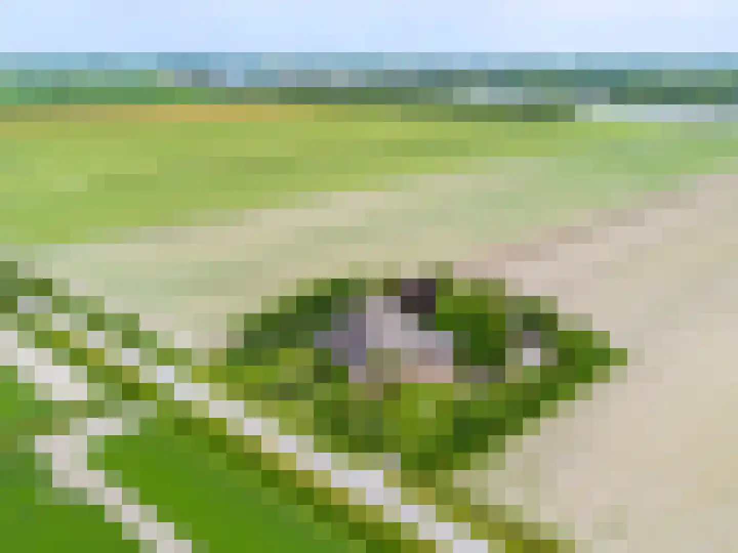 Veerweg 7 Anna Paulowna thumbnail 4