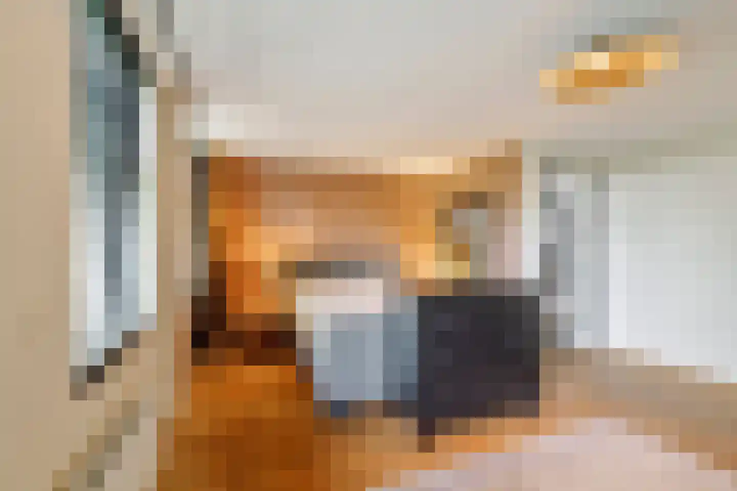 Veerweg 7 Anna Paulowna thumbnail 46