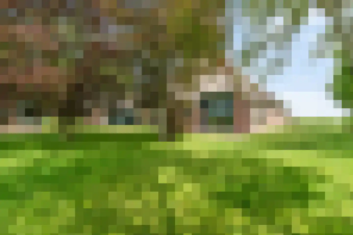 Veerweg 7 Anna Paulowna thumbnail 59