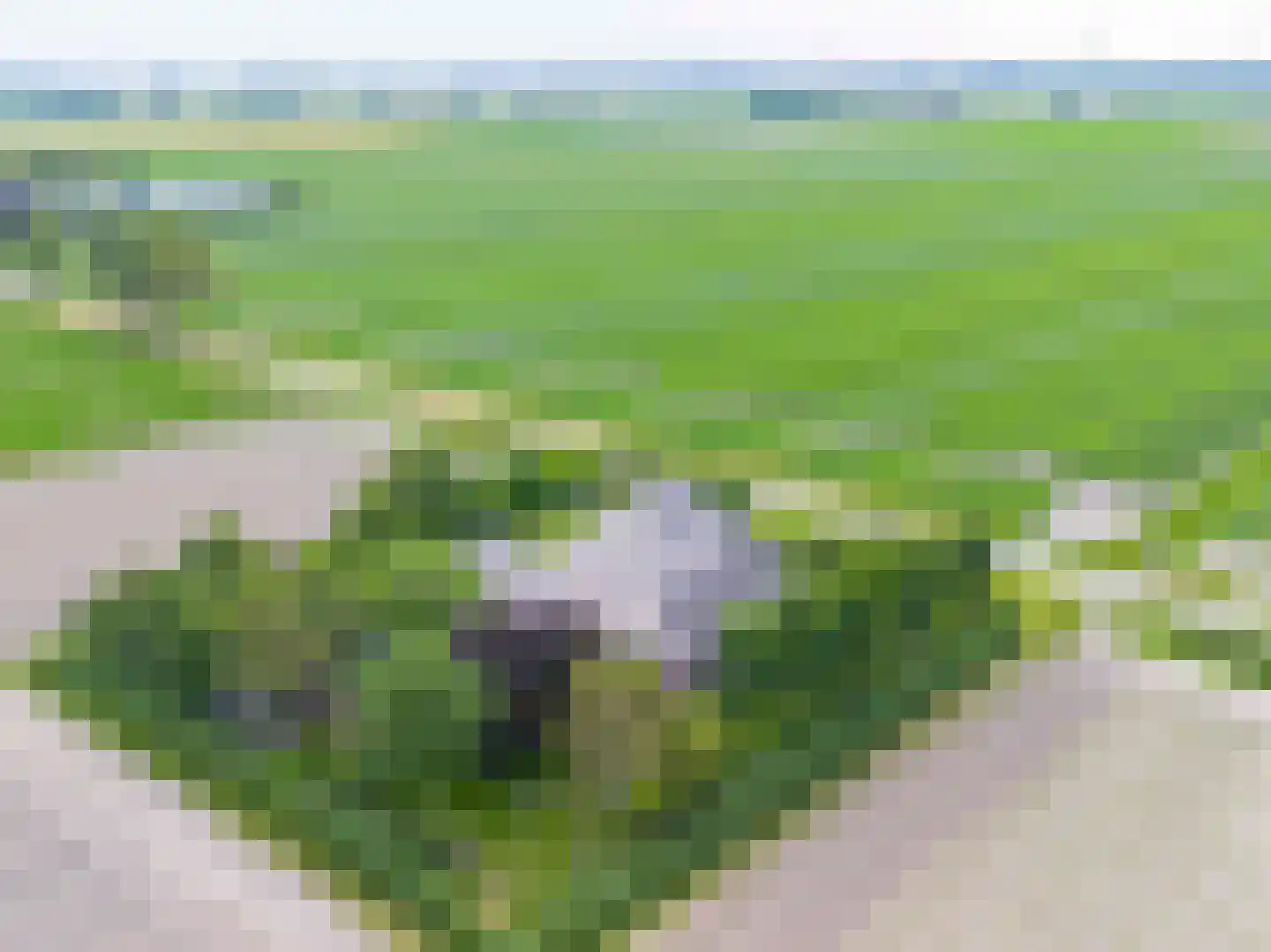 Veerweg 7 Anna Paulowna thumbnail 6