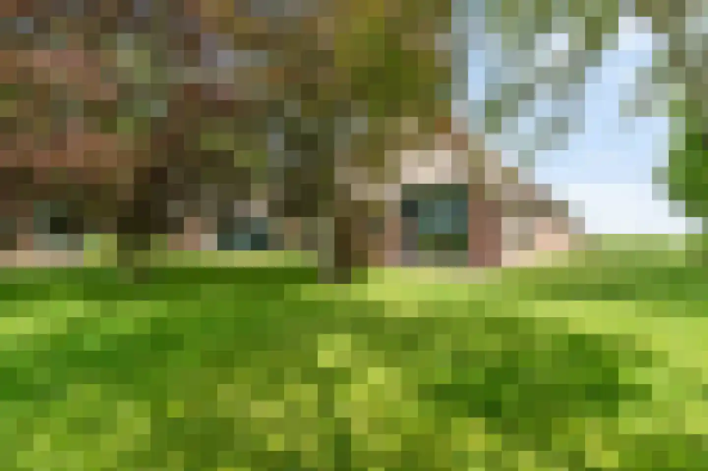 Veerweg 7 Anna Paulowna thumbnail 68
