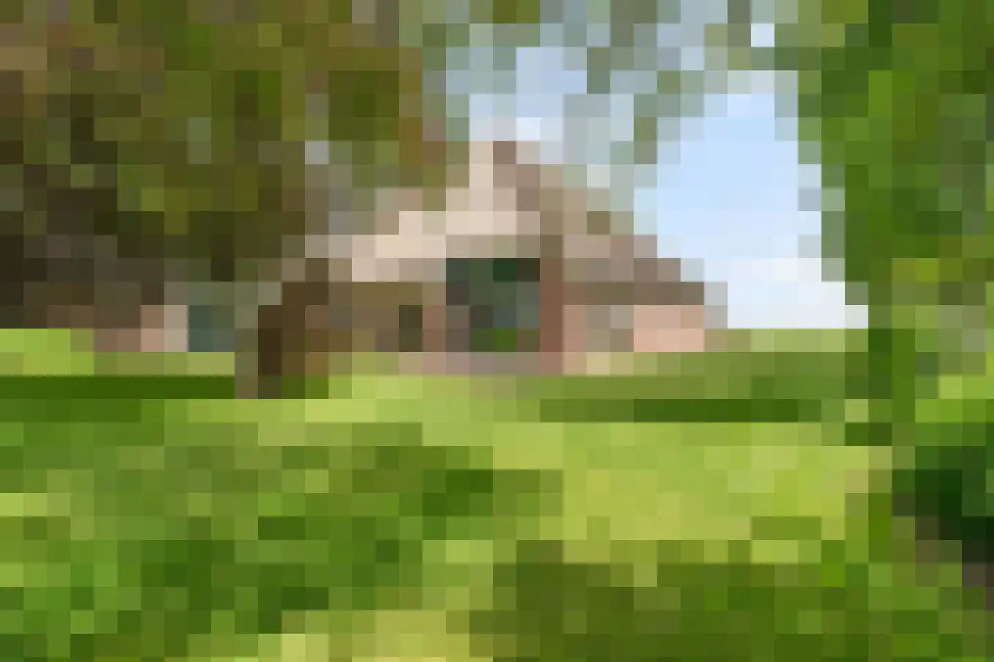 Veerweg 7 Anna Paulowna thumbnail 71