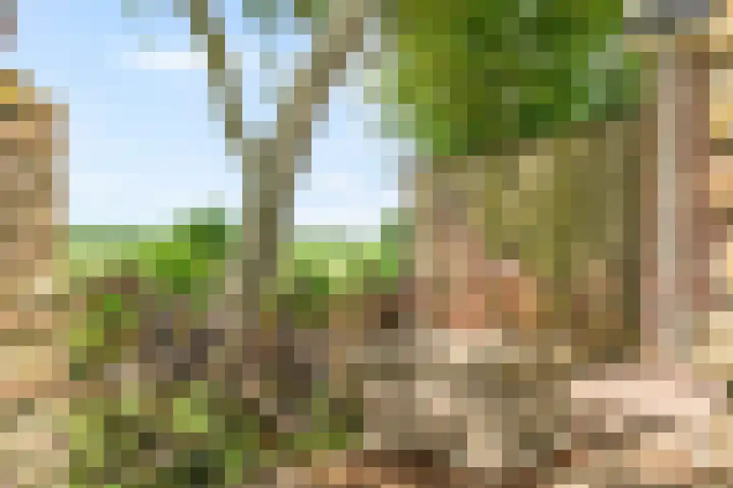Veerweg 7 Anna Paulowna thumbnail 74