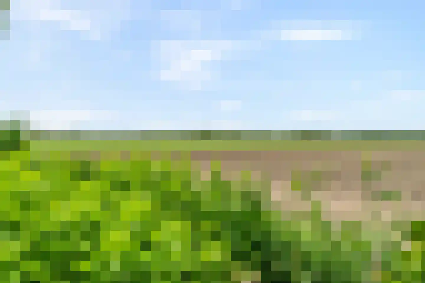 Veerweg 7 Anna Paulowna thumbnail 78