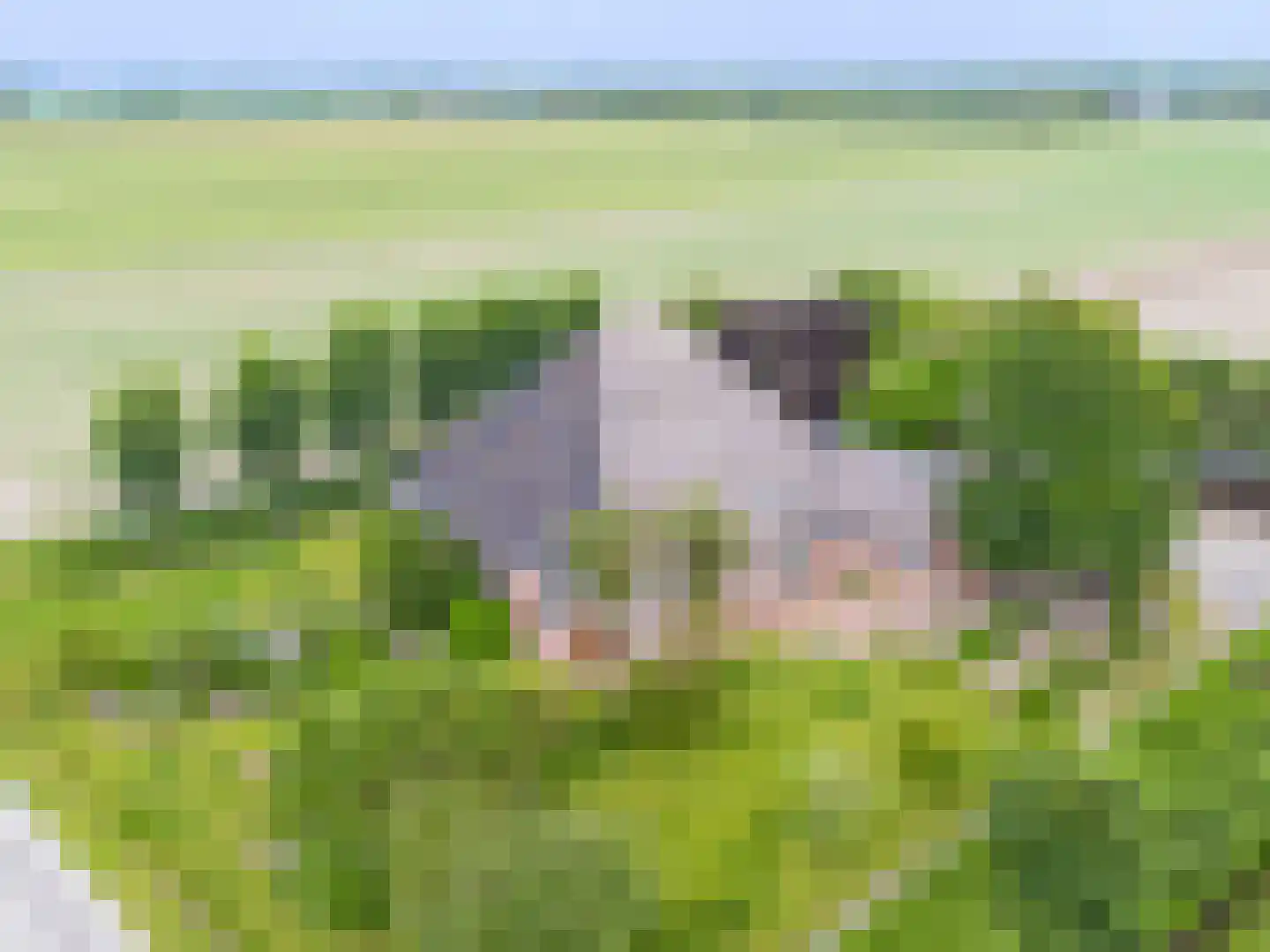 Veerweg 7 Anna Paulowna thumbnail 8