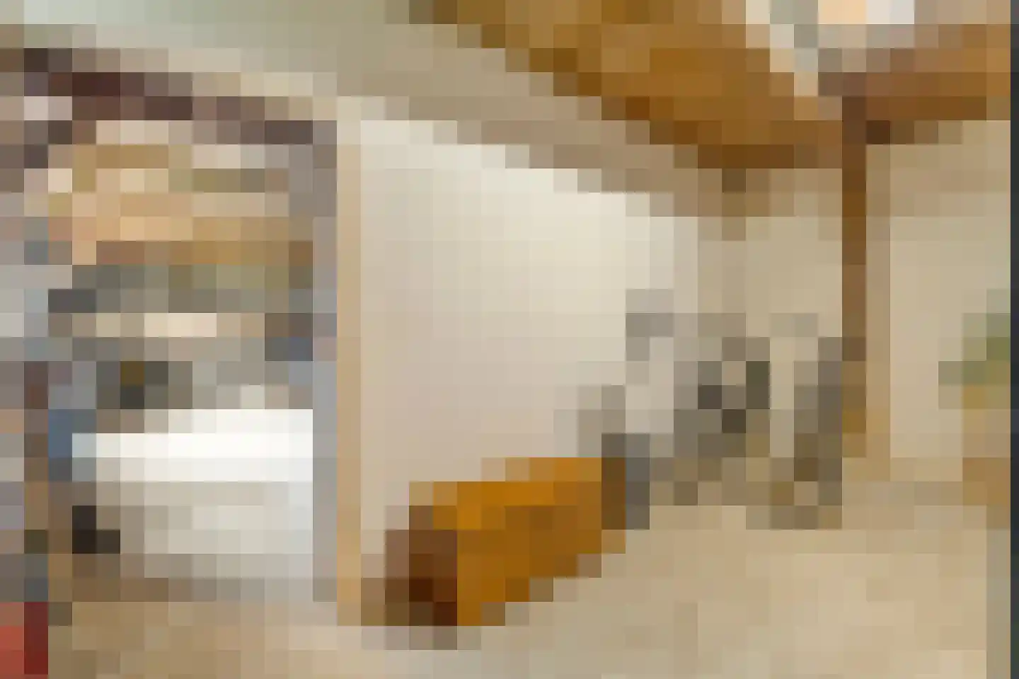 Veerweg 7 Anna Paulowna thumbnail 86