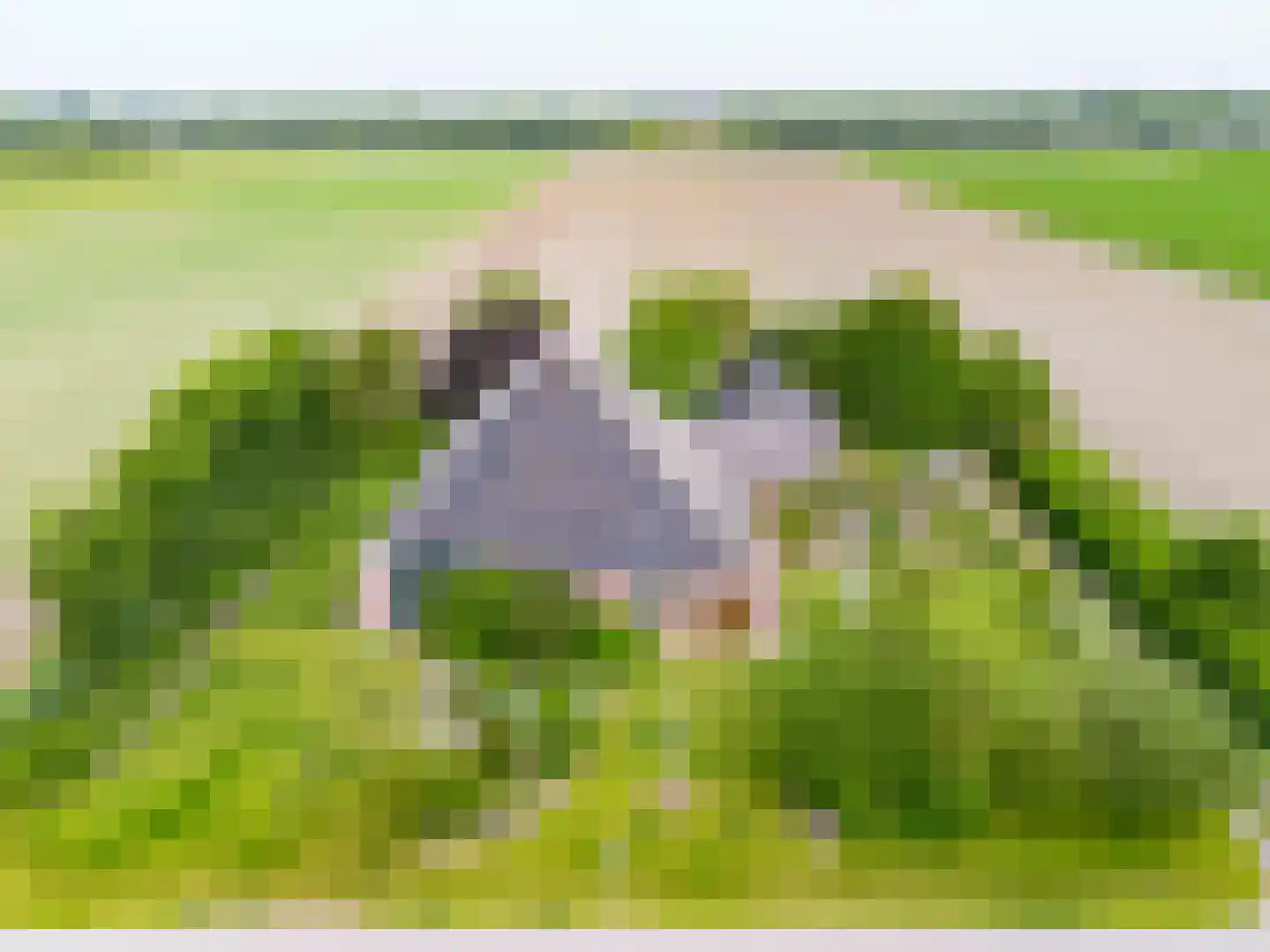 Veerweg 7 Anna Paulowna thumbnail 9