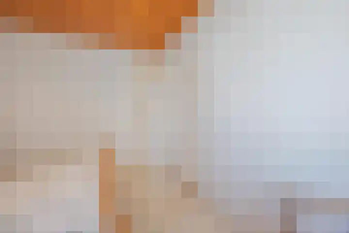 Veerweg 7 Broekhuizen thumbnail 24
