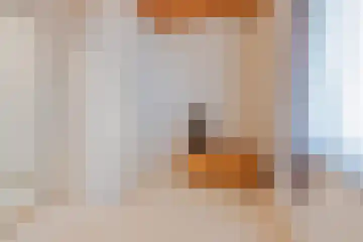 Veerweg 7 Broekhuizen thumbnail 28