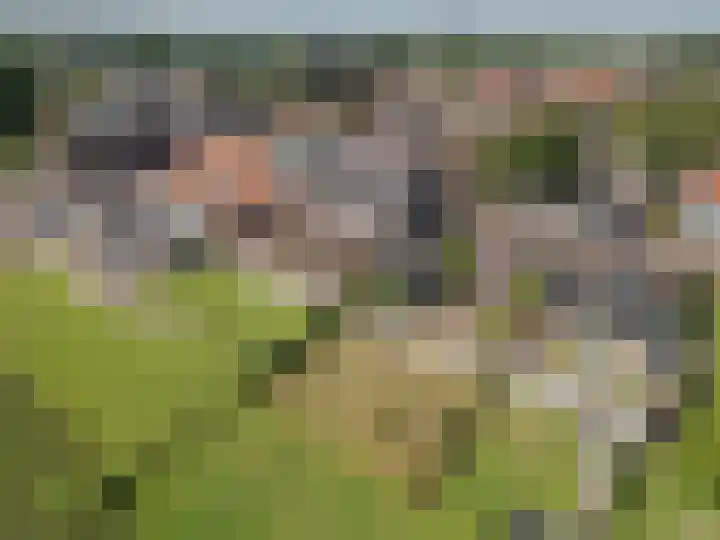 Veerweg 7 Broekhuizen thumbnail 31