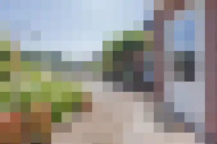 Veerweg 7 Broekhuizen thumbnail 35