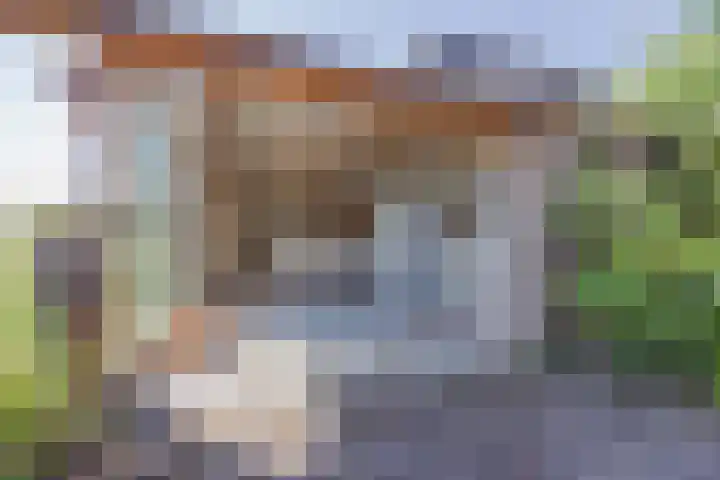 Veerweg 7 Broekhuizen thumbnail 38