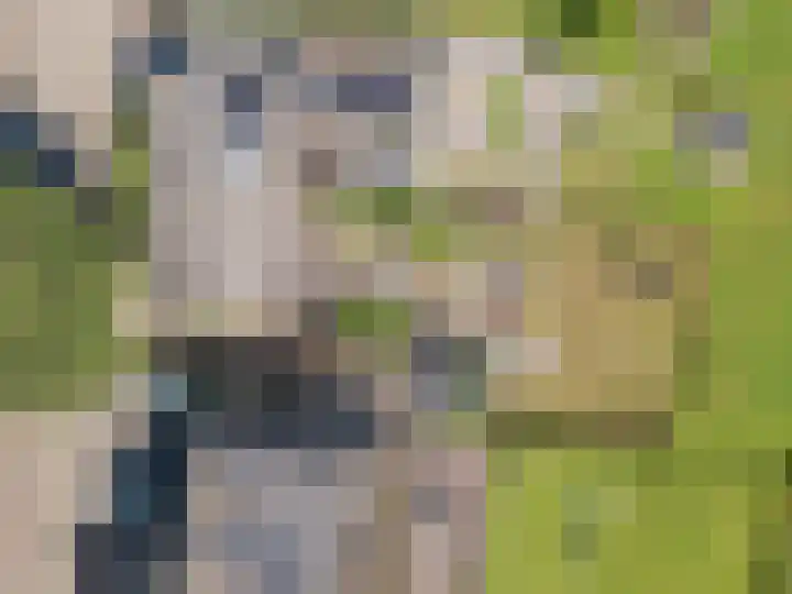 Veerweg 7 Broekhuizen thumbnail 4