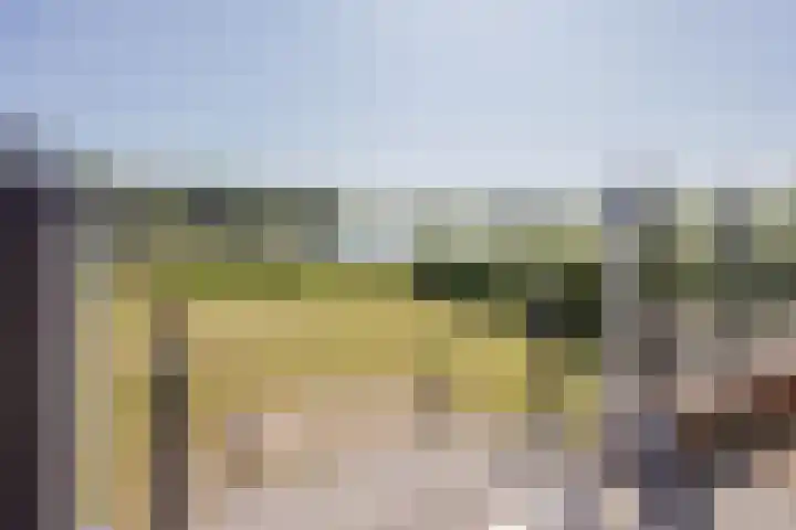 Veerweg 7 Broekhuizen thumbnail 40